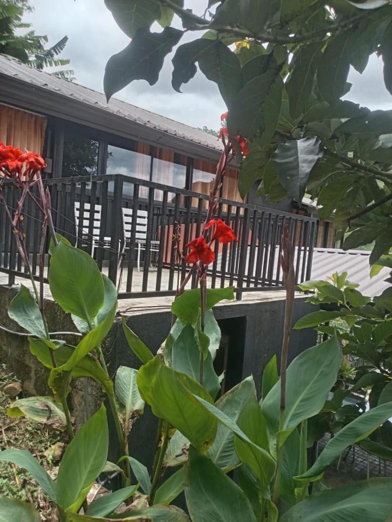 Ella Deck Villa Exterior foto